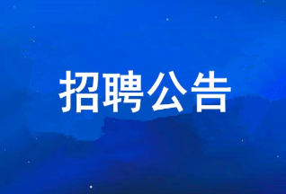 bevictor伟德官网 2025年度果真招聘通告