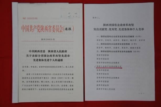 2009年2月，，，，被陕西省委、省政府授予陕西省国有企业刷新攻坚先进整体